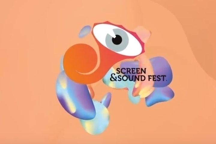See the best moments of Screen & Sound Fest. 2017!
